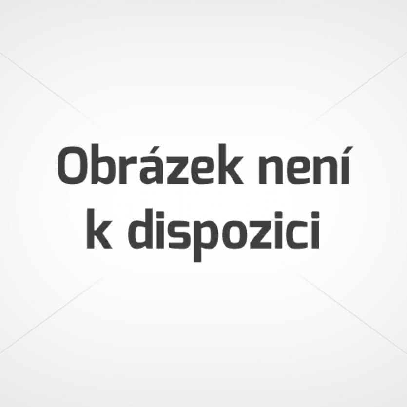 Šli čtyři Šlitři