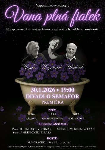 Vana plná fialek náhled